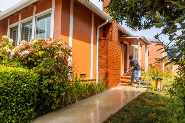 Best Best Pressure Washing Companies  in Nicholls, GA