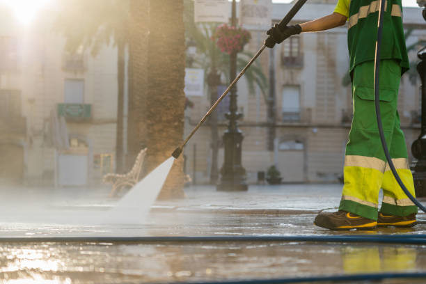Best Roof Pressure Washing  in Nicholls, GA